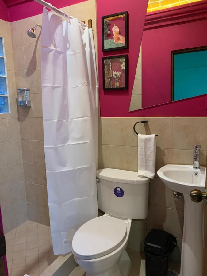 Why Not Hotel 안티구아 과테말라 외부 사진